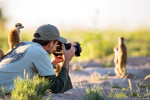 عکاسی حیات وحش Wildlife